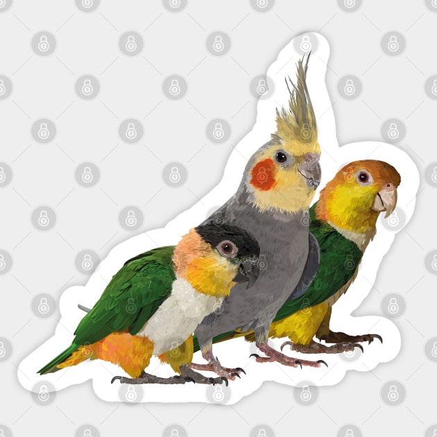 Caique and nymph Sticker by obscurite